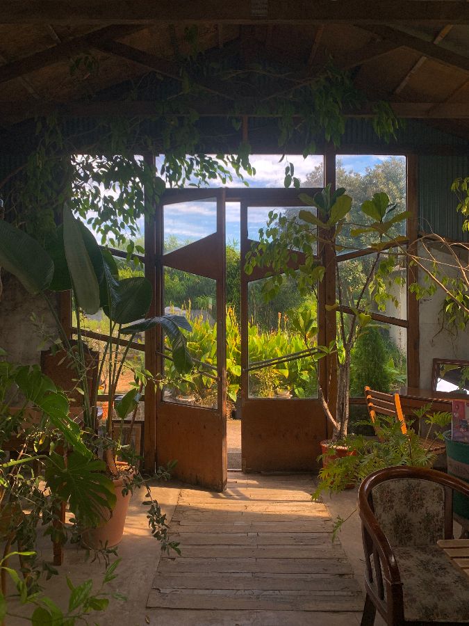 햇살이 가득 들어오는 카페 내부, 초록 식물들이 싱그러움을 더한다.