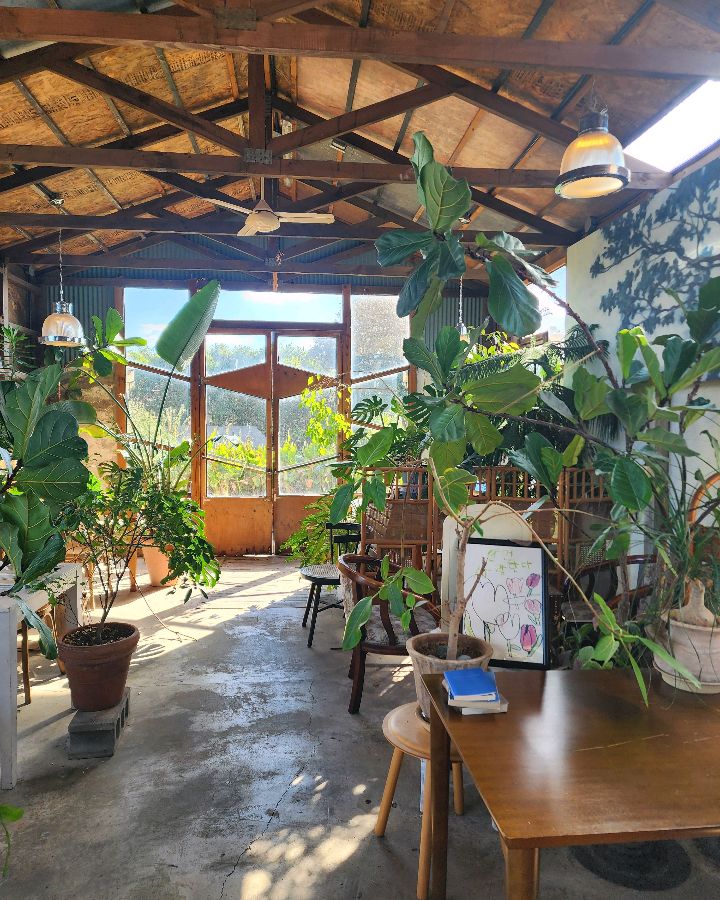 카페 내부, 다양한 식물과 빈티지 가구들이 조화롭게 어우러진다.