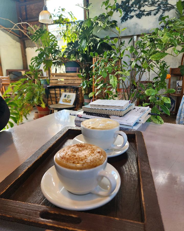 따뜻한 라떼 두 잔, 햇살 아래에서 여유를 즐기기에 완벽하다.