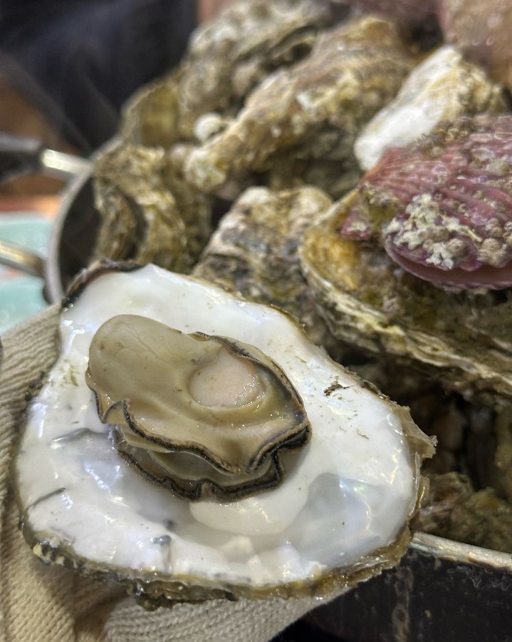 탱글탱글한 굴의 자태