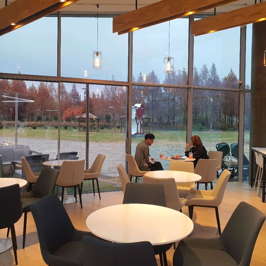 카페 내부의 아늑하고 모던한 인테리어