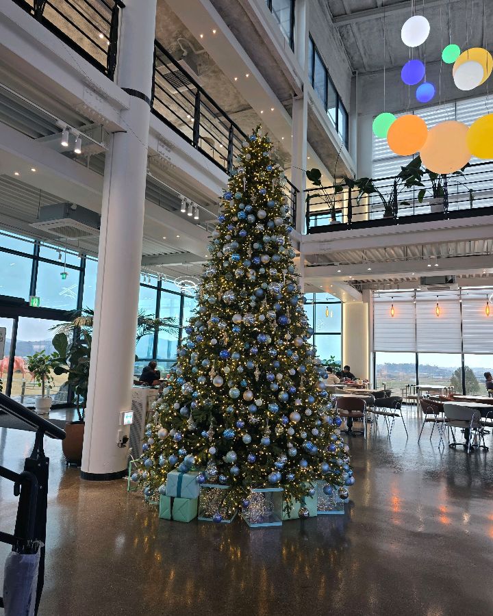 카페 내부에 설치된 커다란 크리스마스 트리