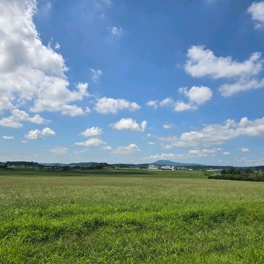 넓게 펼쳐진 초원과 푸른 하늘의 아름다운 조화