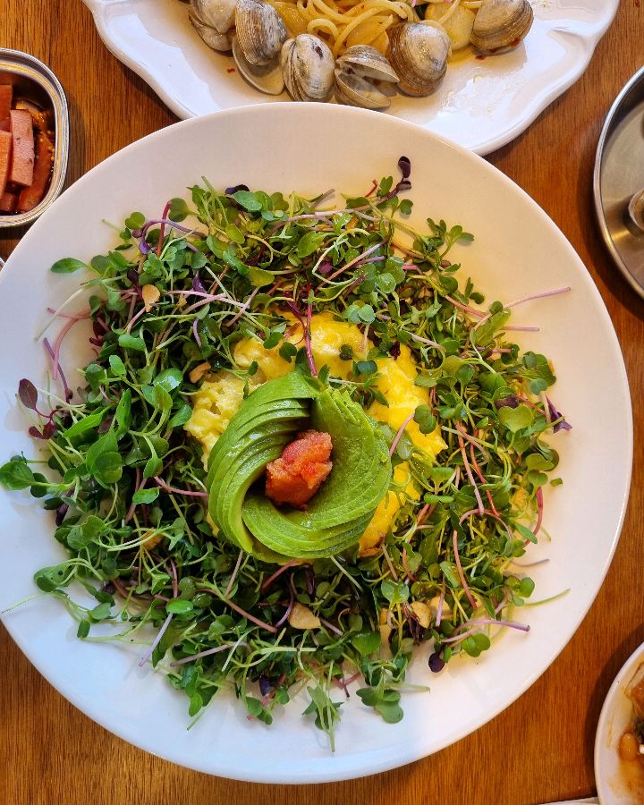 할로 인풍 샐러드