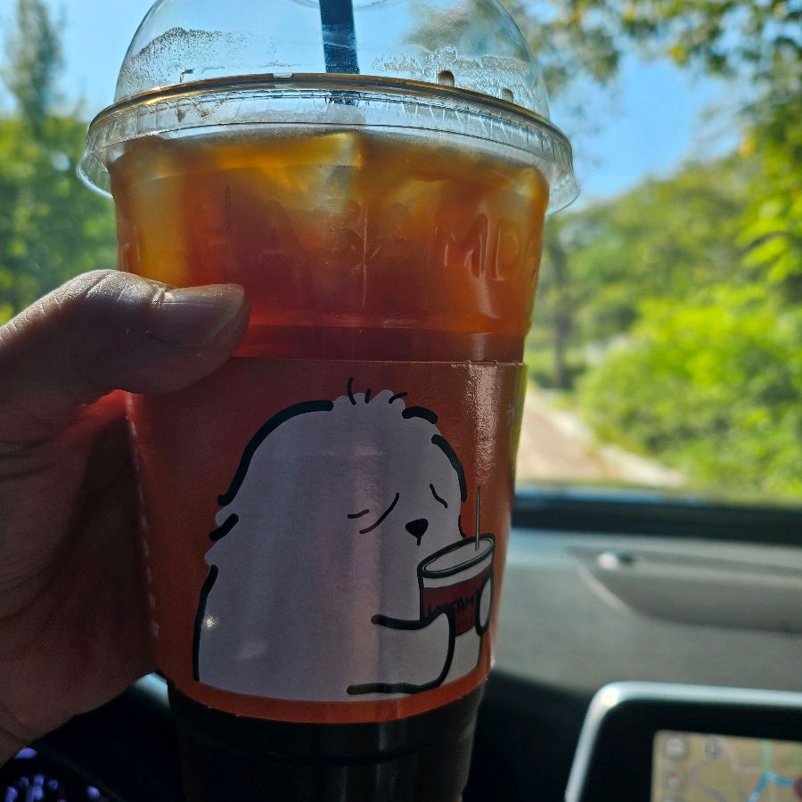 시원한 아이스 아메리카노