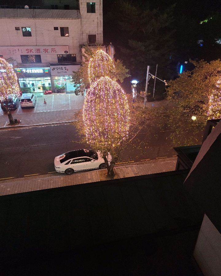 밤에는 아름다운 조명이 거리를 밝힌다.