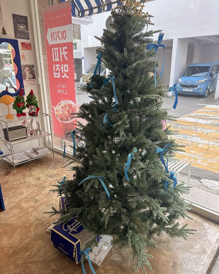 크리스마스 트리