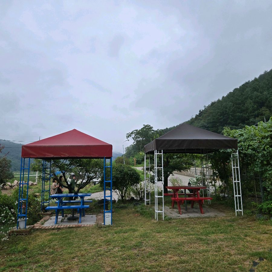 야외 테이블에서 자연을 만끽하는 사람들