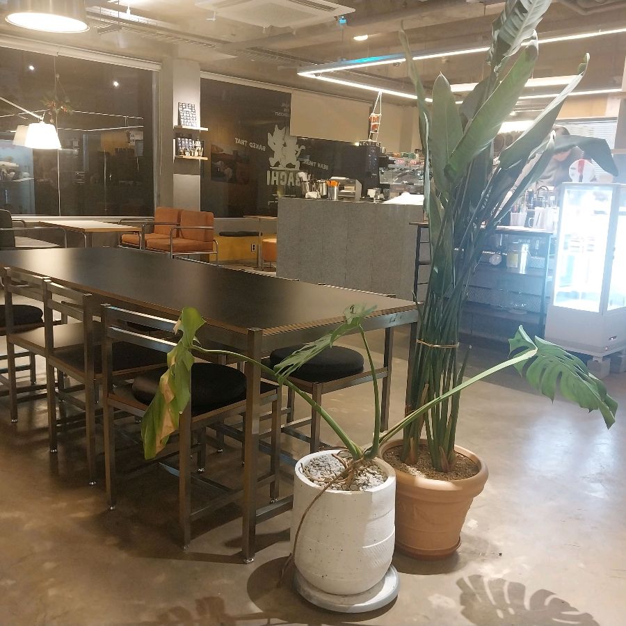 넓고 쾌적한 스튜디오 바치의 내부