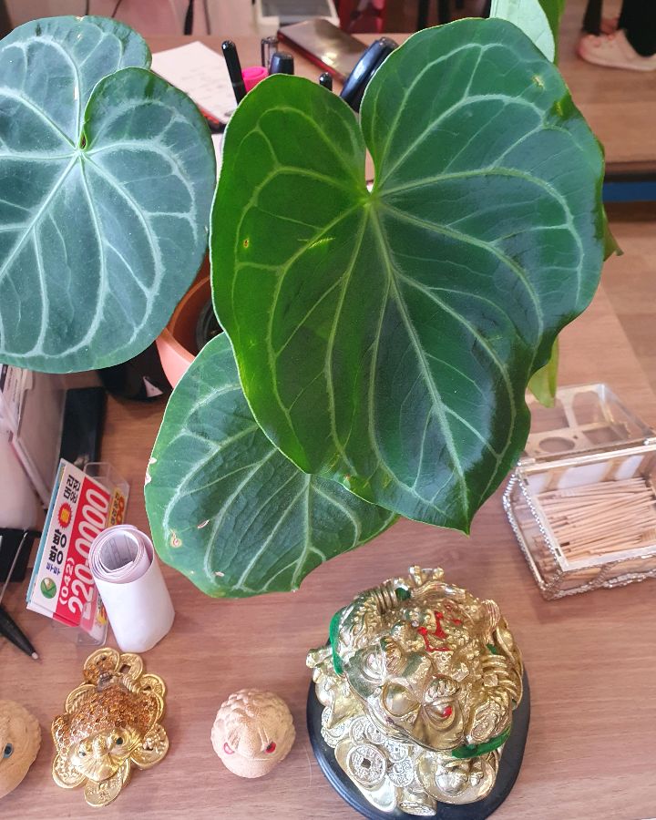 테이블 위의 장식