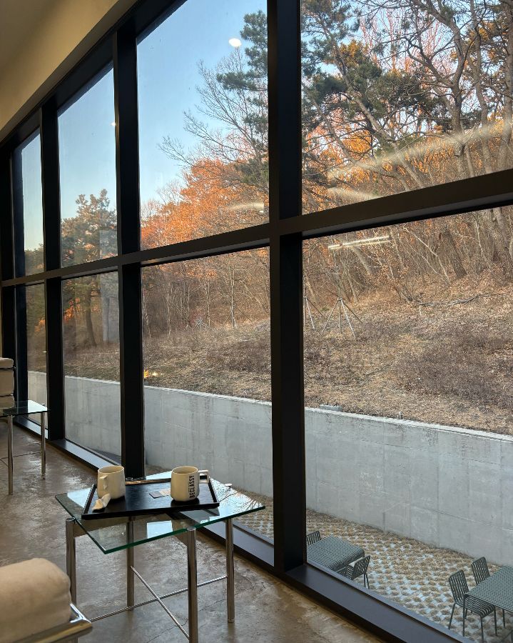 통유리창 너머로 보이는 푸르른 숲