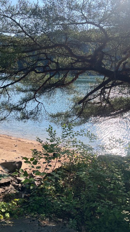 카페에서 바라본 호수와 나무