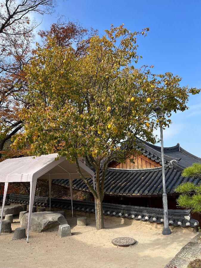 서오릉 주변의 정갈한 풍경