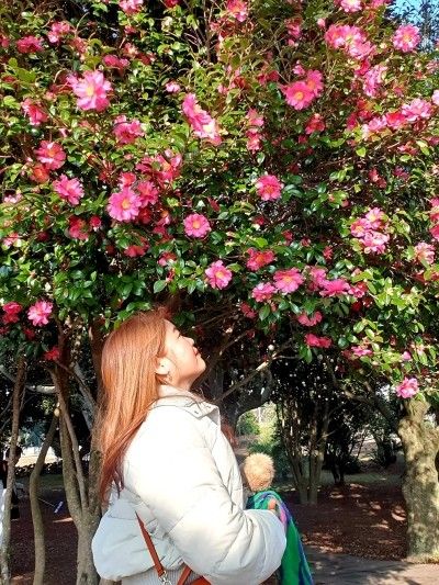 카페몬타나 야외 정원