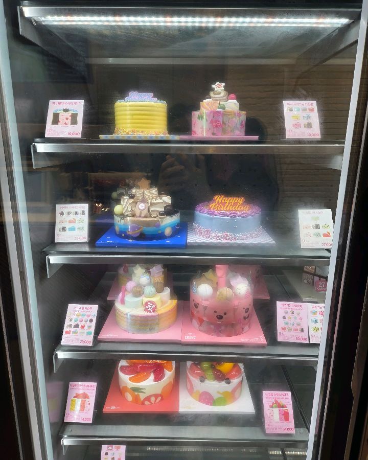 다양한 종류의 아이스크림 케이크 쇼케이스