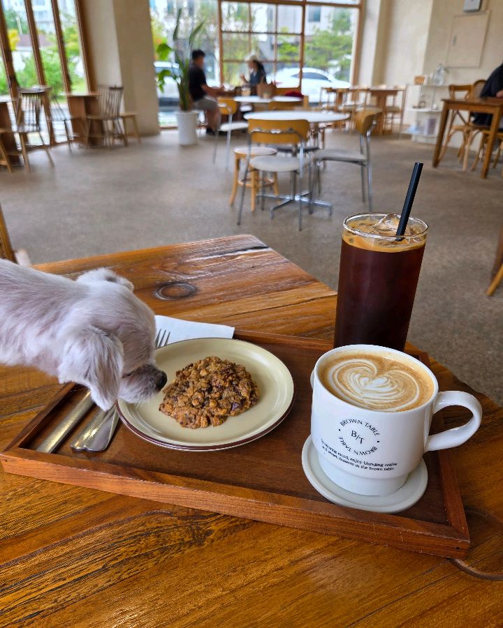 강아지와 함께 브라운 테이블에서 커피를 즐기는 모습