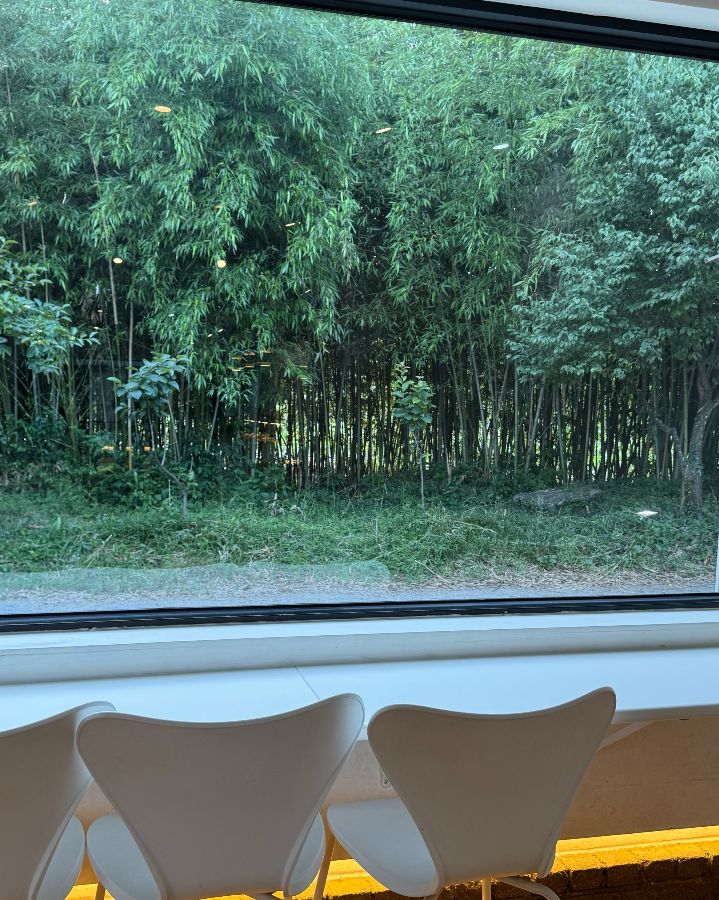 창밖으로 보이는 싱그러운 숲의 풍경