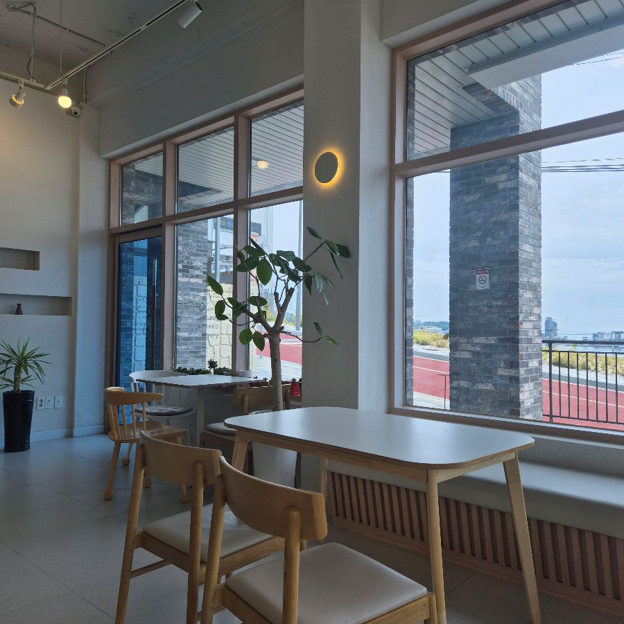 넓은 창을 통해 들어오는 따스한 햇살과 아늑한 분위기의 좌석