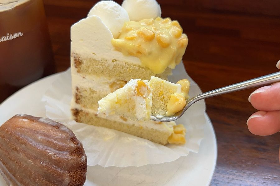 옥수수 케이크 단면