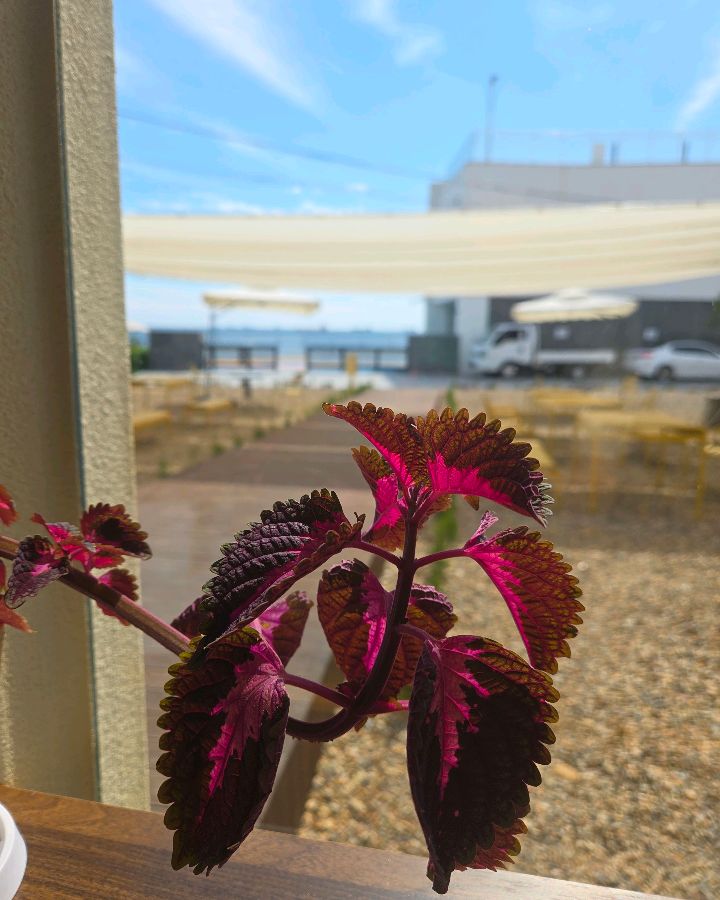 창밖으로 보이는 바다 풍경