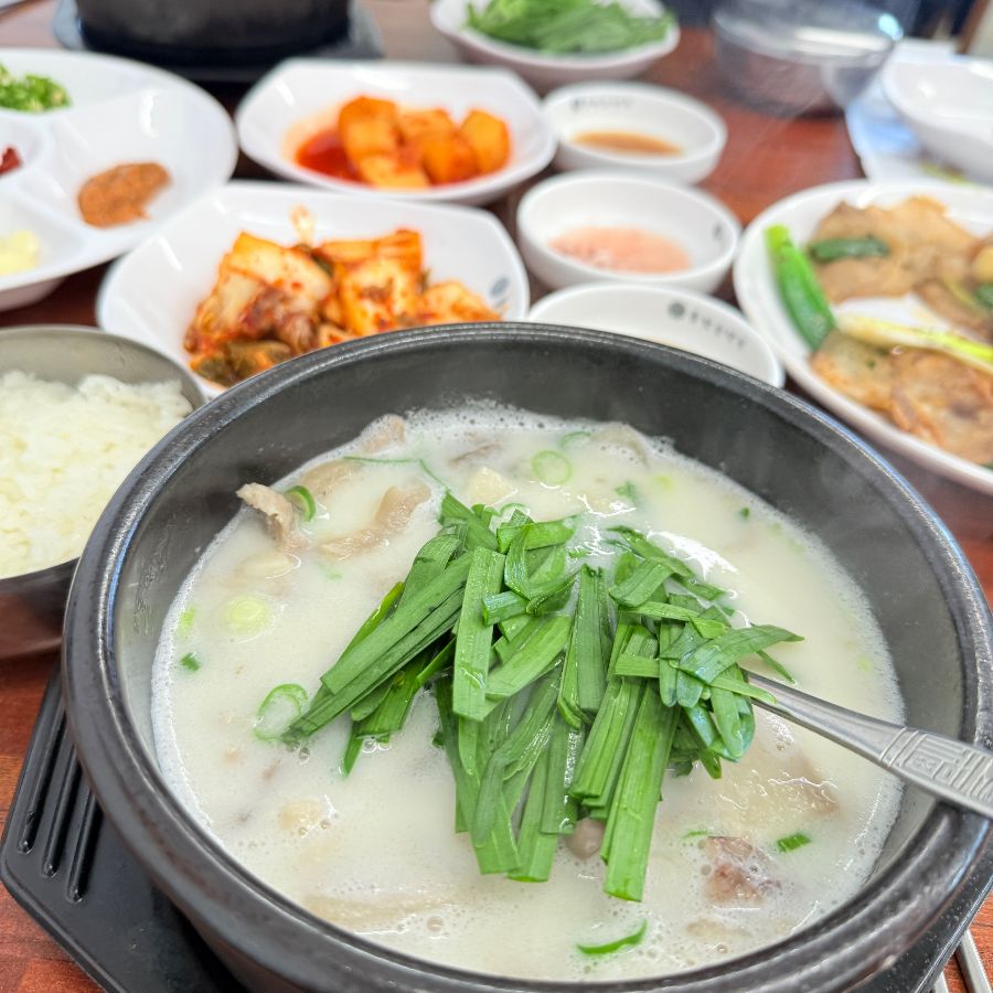 돌탄순댓국 안동점의 순대국밥, 신선한 부추가 듬뿍 올려져 풍미를 더한다.