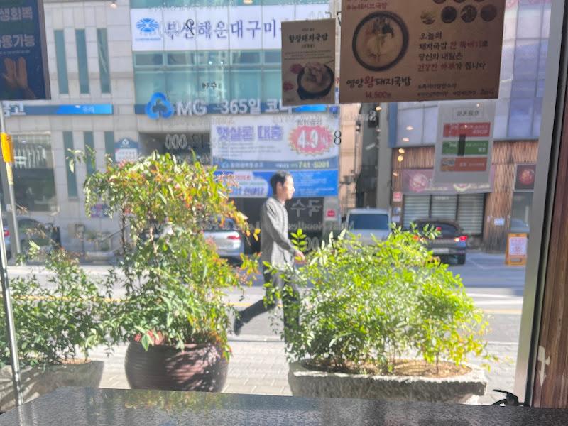 식당 창밖으로 보이는 해운대 거리 풍경