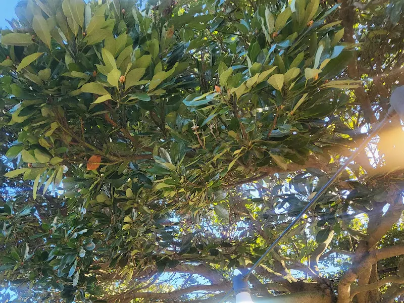 섬읍이네 내부 모습