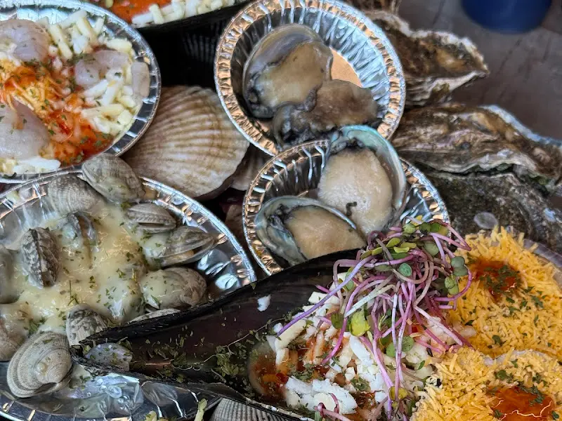 다양한 종류의 조개들