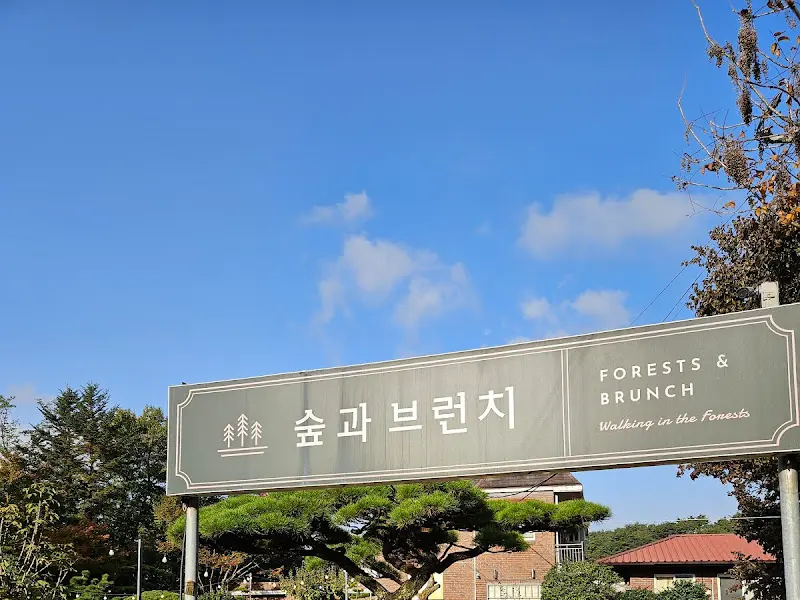 '숲과 브런치' 간판 사진