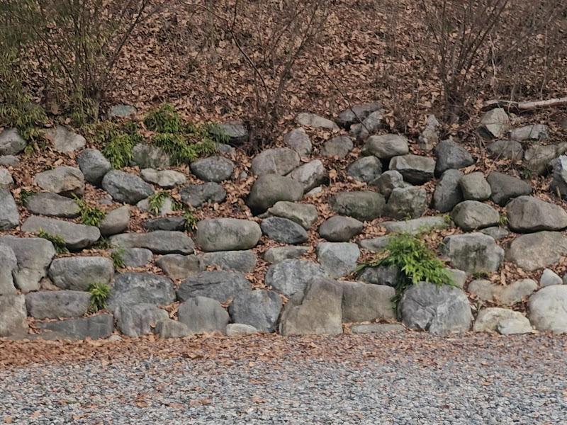 돌담 너머 보이는 풍경