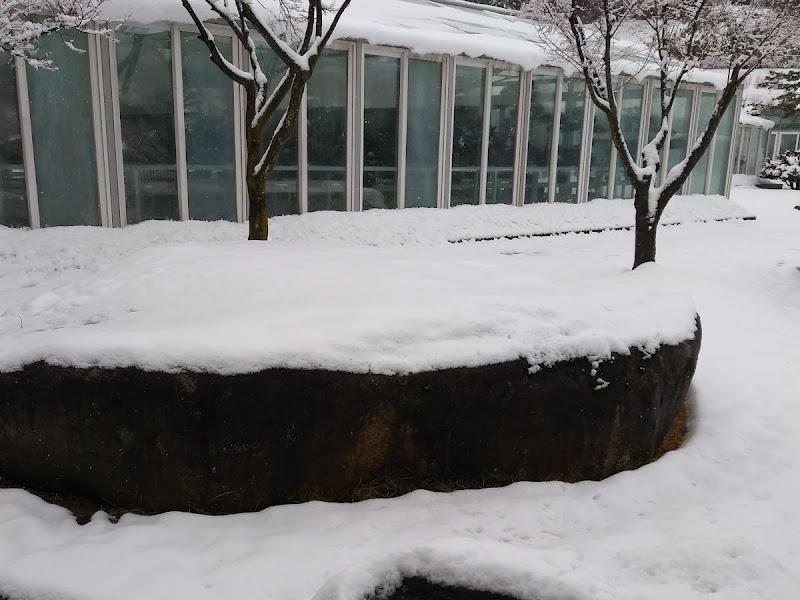 눈 덮인 식당의 겨울 풍경