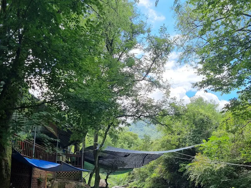 식당 주변 풍경