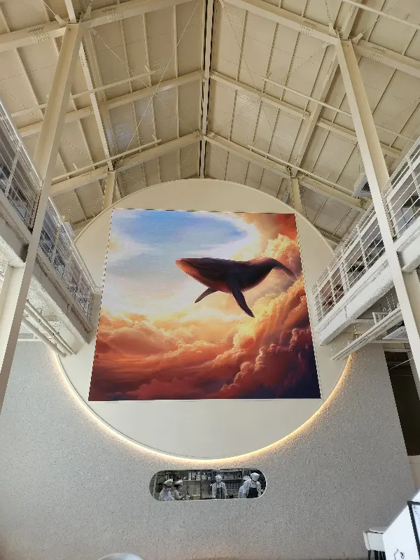 카페 내부 천장