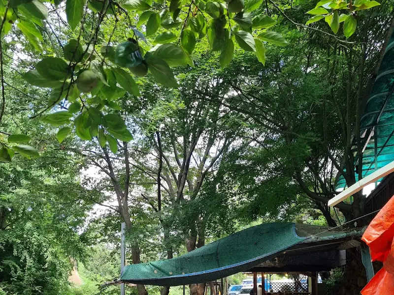 식당 지붕 위 나뭇잎