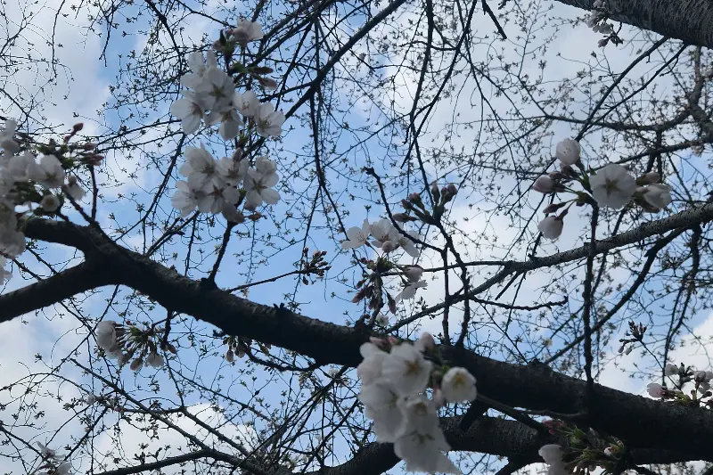 다양한 종류의 반찬