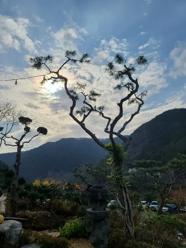 피아크 외부 풍경