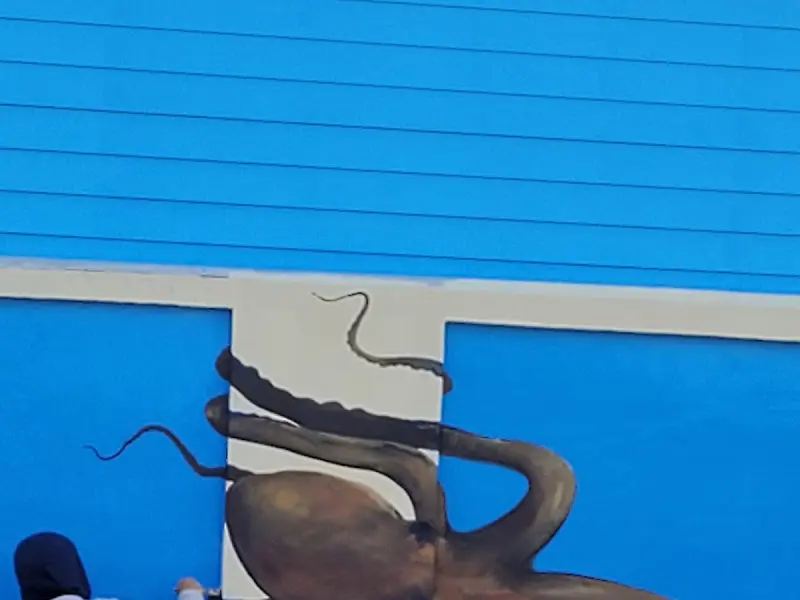 낙지 골목 벽화 포토존