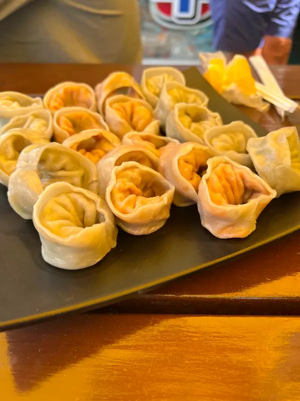 푸짐한 만두 한 접시