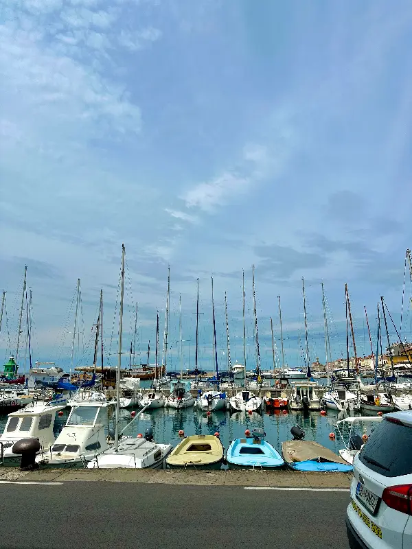 가게 근처 풍경.