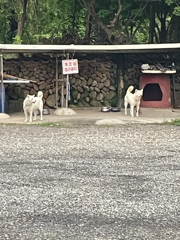 식당 외부 풍경