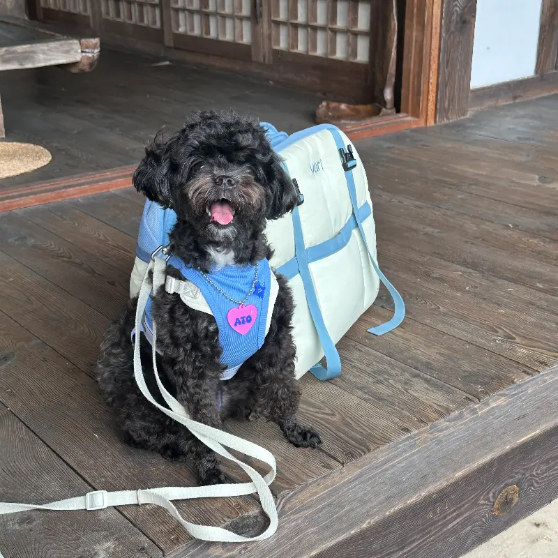 강아지와 함께 방문한 손님