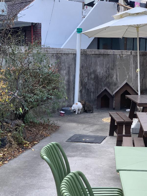 카페 야외 테라스