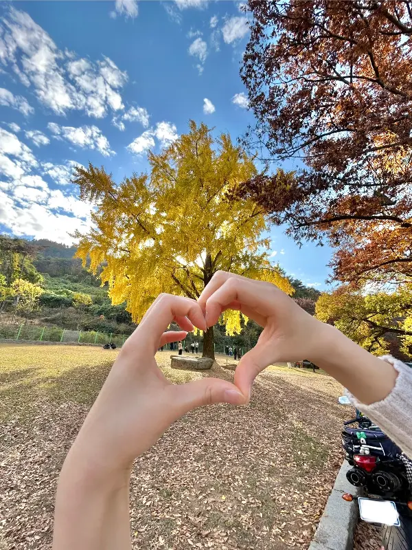 가을 풍경이 아름다운 김천