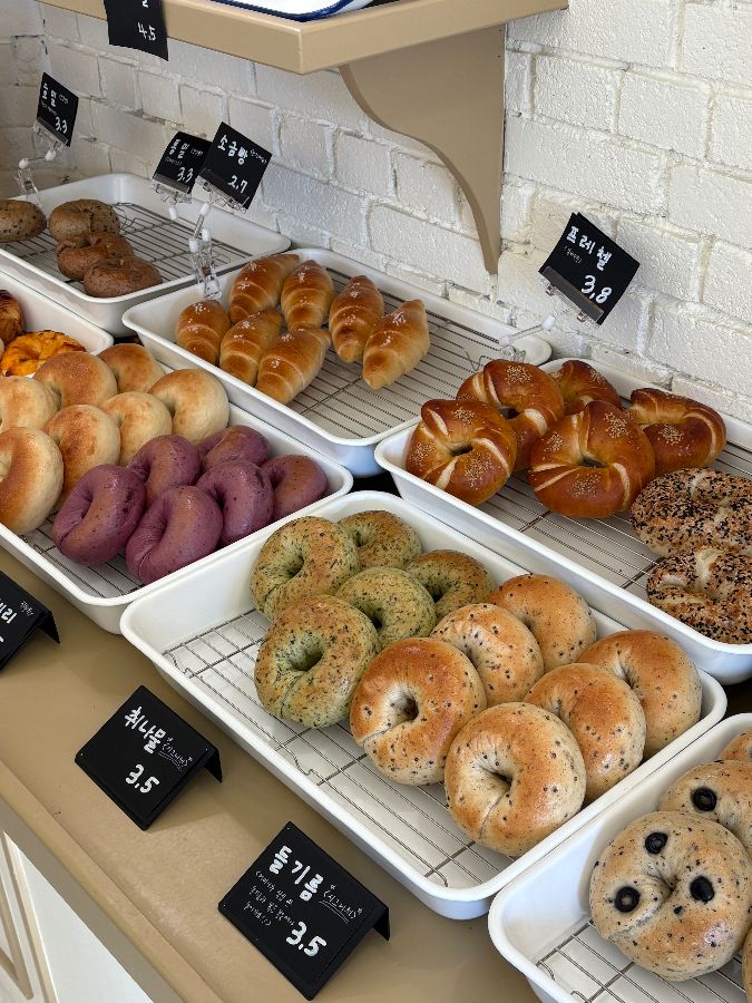 다양한 종류의 베이글