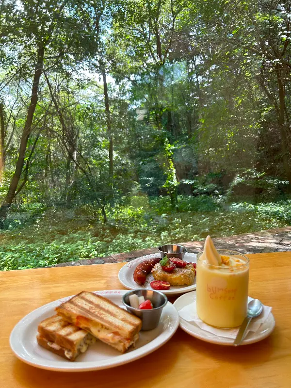 창밖 숲 뷰와 브런치 메뉴