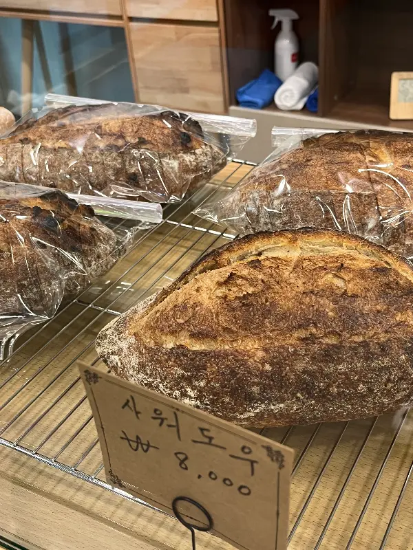 진열된 사워도우