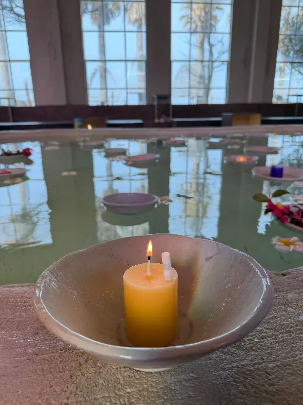 소원초가 띄워진 물웅덩이