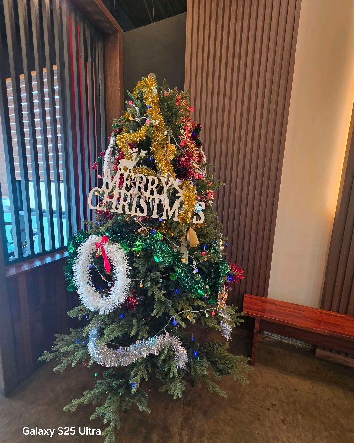 크리스마스 트리