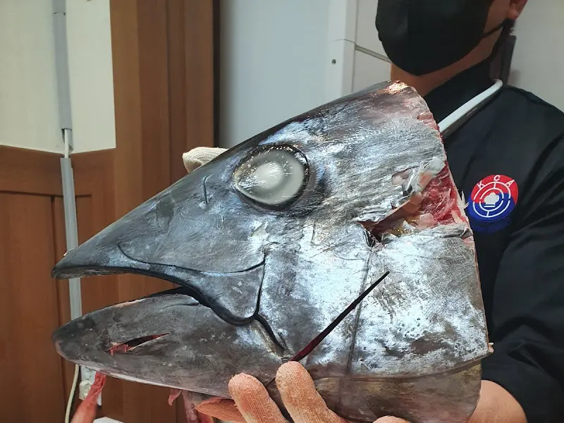 눈 앞에서 펼쳐지는 참치 해체 쇼