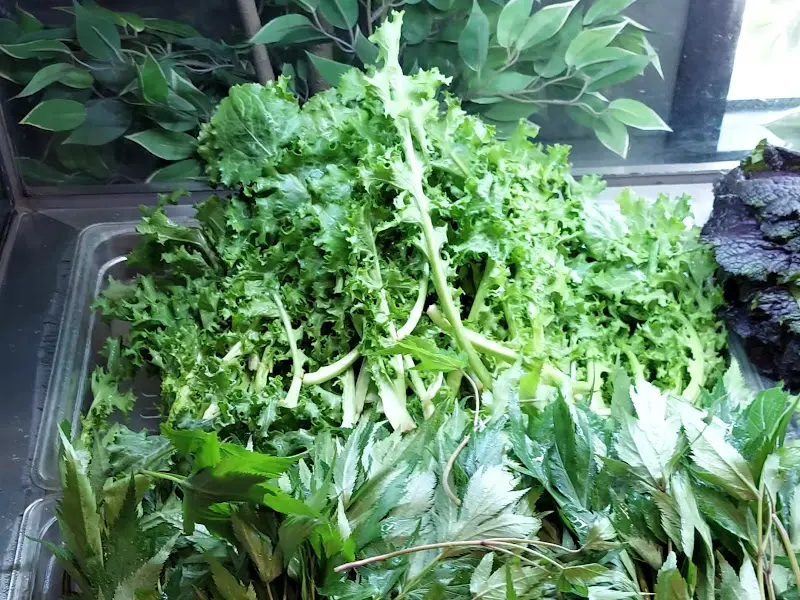 신선한 쌈 채소 코너